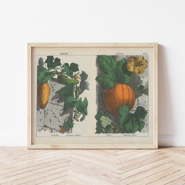 Fruits | Charlotte Mary Yonge Poster (Creator Uploaded)