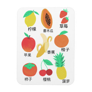 Fruits Flash Cards Chinese Fruity Fun Food Art Magnet