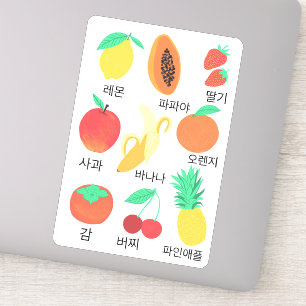 Fruits Flash Cards Korean Fruity Fun Food Art