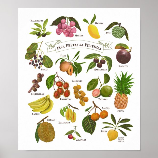 Fruits in the Philippines Poster (Front)