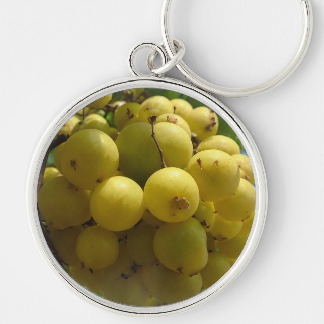 Fruits keychain circle  (Front)