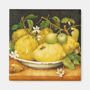 FRUITS. LEMONS AND WHITE FLOWERS MAGNET