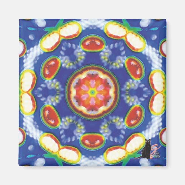 Fruity Tooty Kaleidoscope Magnet (Front)