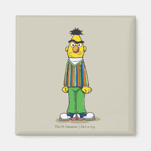 Frustrated Bert Magnet
