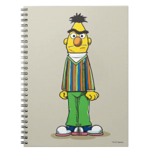 Frustrated Bert Notebook