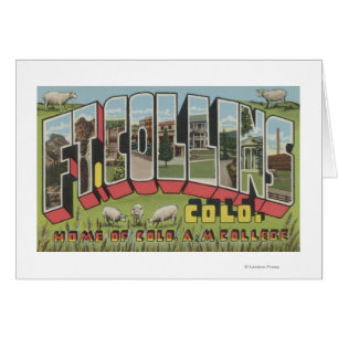 Ft. Collins, Colorado - Large Letter Scenes