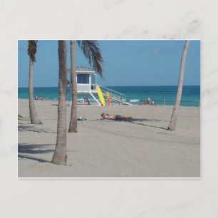 Ft Lauderdale Beach Lifeguard Stand Postcard