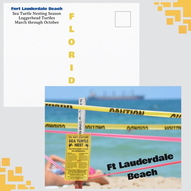 Ft Lauderdale Beach Sea Turtle Nesting Season Postcard (Creator Uploaded)