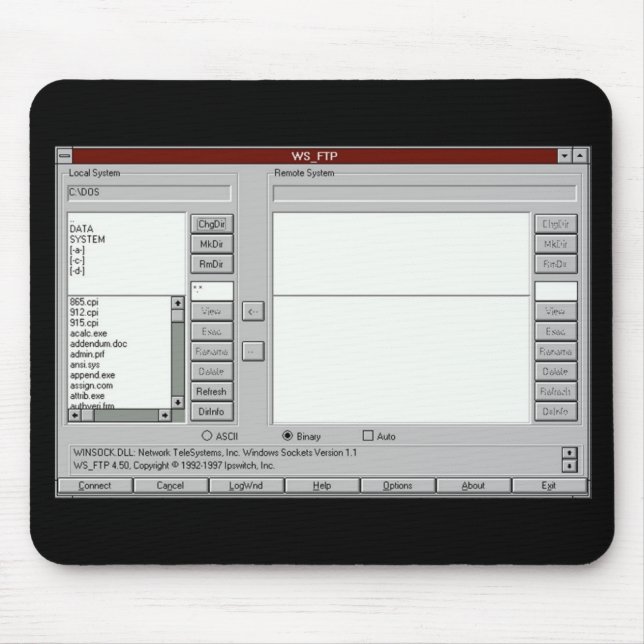 FTP circa 1997 - mousepad (Front)