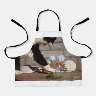 Fubby playing with their friend the cat. apron