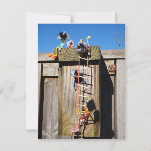 Fubby's climbing a birdhouse. postcard