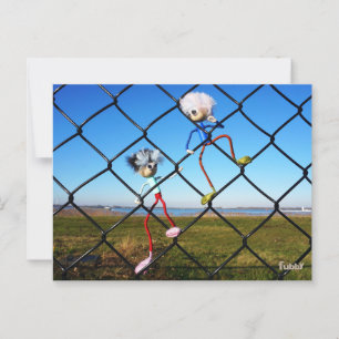 Fubby's climbing a fence. postcard