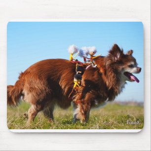 Fubby's riding horses on their doggy friend. mouse mat