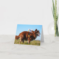 Fubby's riding horses on their doggy friend.