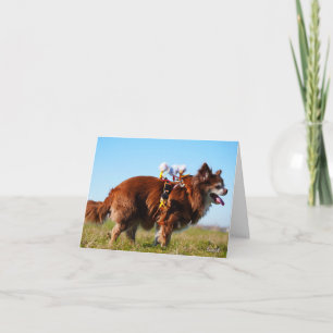 Fubby's riding horses on their doggy friend. thank you card