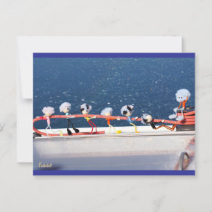 Fubby's running a line from a Zeilboat. Postcard