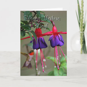 Fuchsia and Hummingbird Mothers Day Card