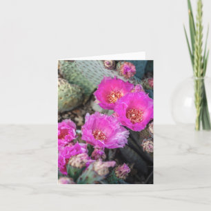 Fuchsia Cactus Flowers Note Card