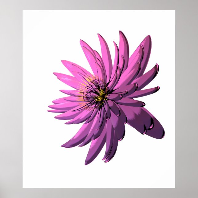 Fuchsia Chrysanthemum Flower Illustration Poster (Front)