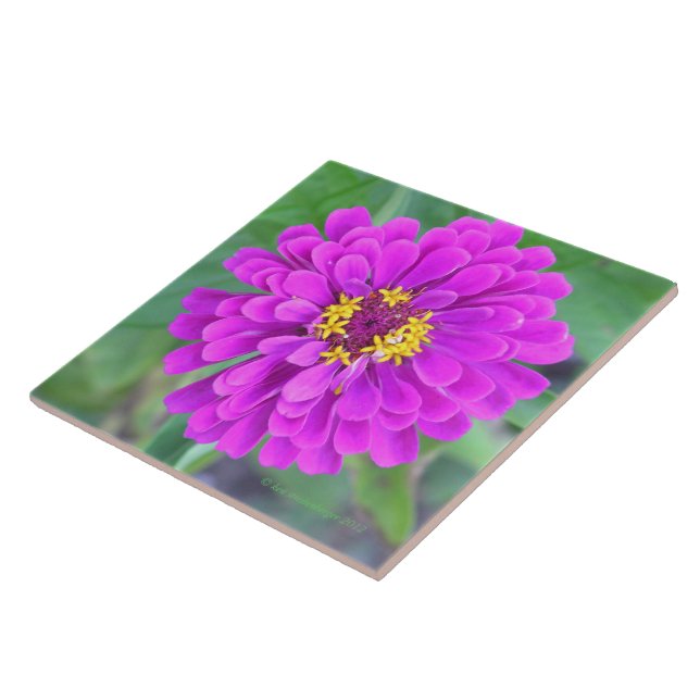  FUCHSIA-COLORED FLOWER TILE (Side)