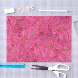Fuchsia coloured poinsettias, floral pattern tissue paper