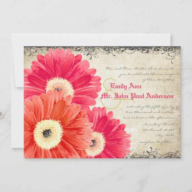 Fuchsia Coral Orange Gerber Daisy Wedding Invite (Front)