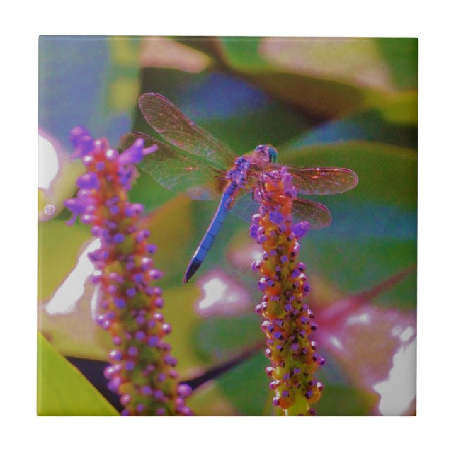 Fuchsia  flower and dragon fly tile (Front)