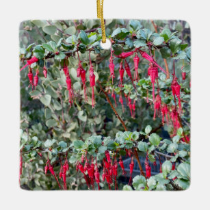 Fuchsia Flower Gooseberry Ceramic Ornament