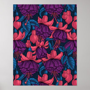 Fuchsia in blue and purple poster