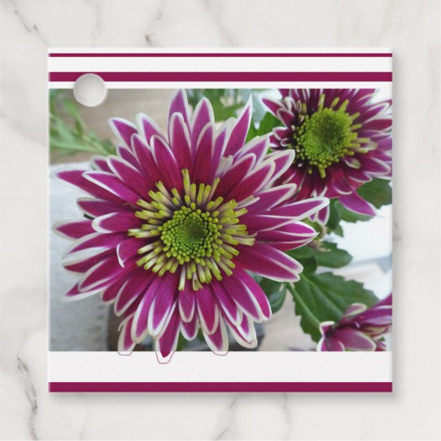 Fuchsia Pink Chrysanthemums Collage Favour Tags (Front)