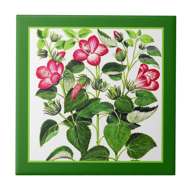Fuchsia Pink Italian Hibiscus flowers Tile (Front)