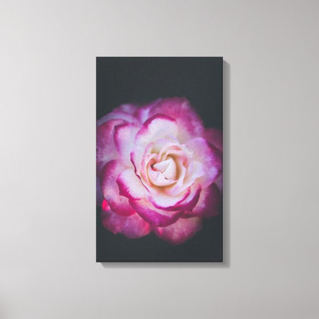 Fuchsia rose canvas print (Front)