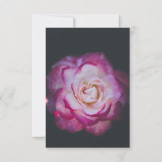 Fuchsia rose flower thank you card