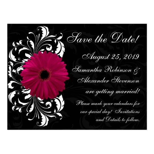 Fuchsia Scroll Gerbera Daisy Black Save the Date Postcard