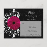 Fuchsia Scroll Gerbera Daisy w/Black and White