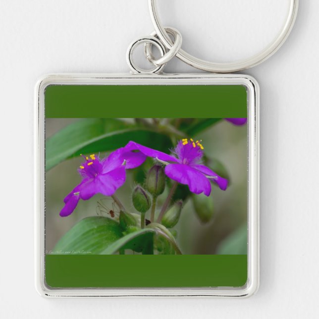 Fuchsia Spiderwort Twins Wildflower Gifts  Apparel Key Ring (Front)