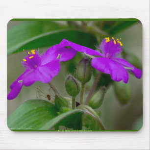 Fuchsia Spiderwort Twins Wildflower Gifts  Apparel Mouse Mat