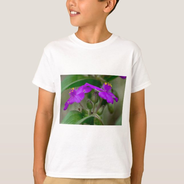 Fuchsia Spiderwort Twins Wildflower Gifts  Apparel T-Shirt (Front)