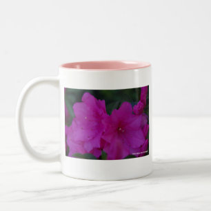 Fucshia Azaleas Mug