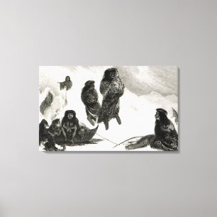 Fuegians going to trade in Zapallos Canvas Print