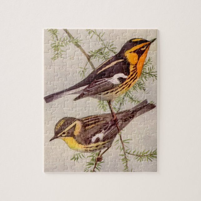 Fuertes Blackburnian Warbler Bird Painting Jigsaw  Jigsaw Puzzle (Vertical)