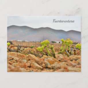 Fuerteventura mountains postcard