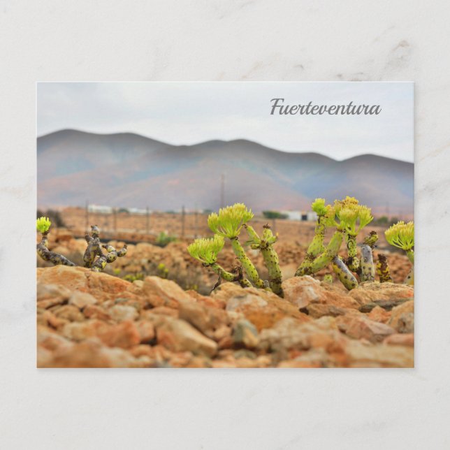 Fuerteventura mountains postcard (Front)