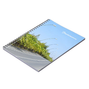Fuerteventura Notebook