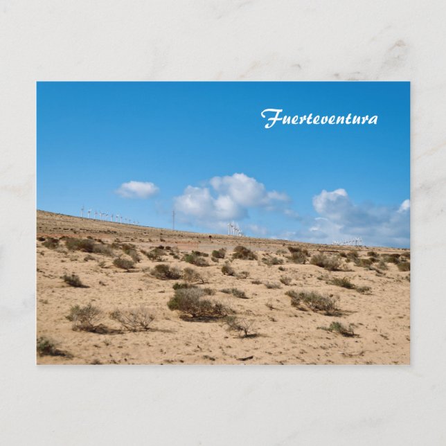 Fuerteventura Postcard (Front)