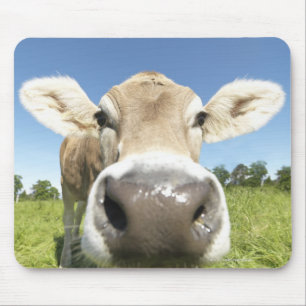 Fuessen, Bavaria, Germany Mouse Mat