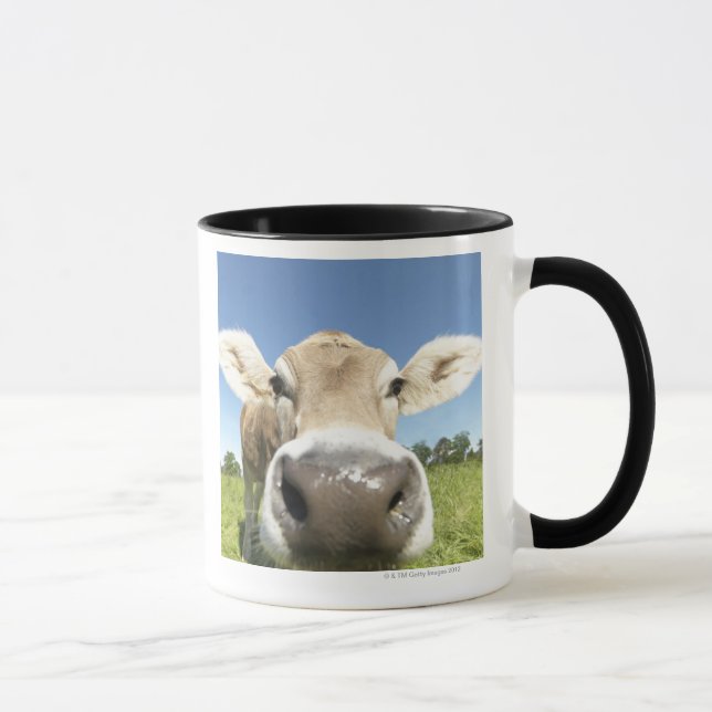 Fuessen, Bavaria, Germany Mug (Right)