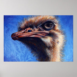 Fugley Ostrich Print