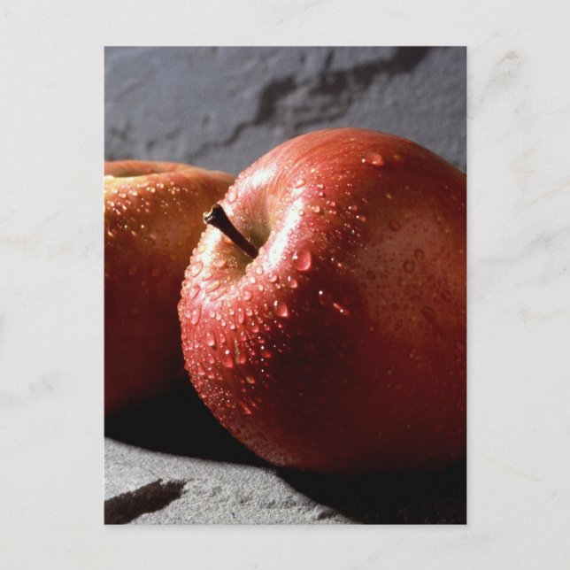 Fuji Apples Postcard (Front)