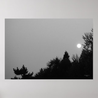 Fulfilment: Nature Zen/Tao Poster